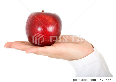 hand holding an apple hand holding an apple 3796562