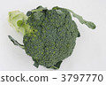 西蘭花 3797770
