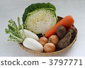 蔬菜集合 3797771
