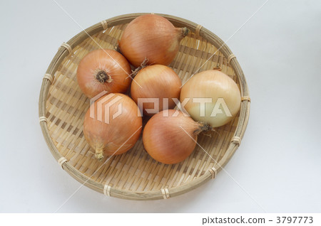 Kodama洋蔥 3797773