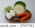 蔬菜集合 3797781