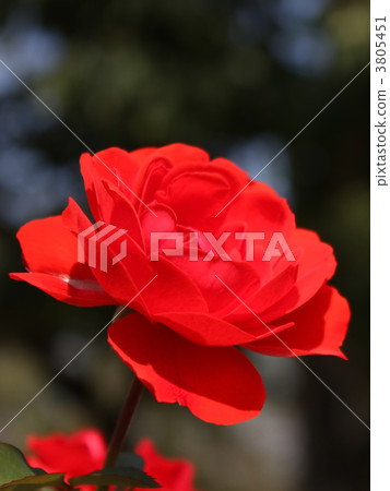 Stadt Elbire 3805451