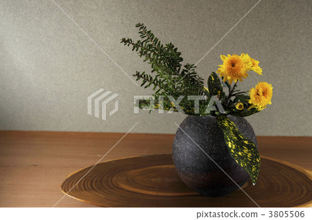 Ikebana Kikusui室內木材Chara樹有Sefiana花瓶底板 Ikebana Kikusui室內木材Chara樹有Sefiana花瓶底板 3805506