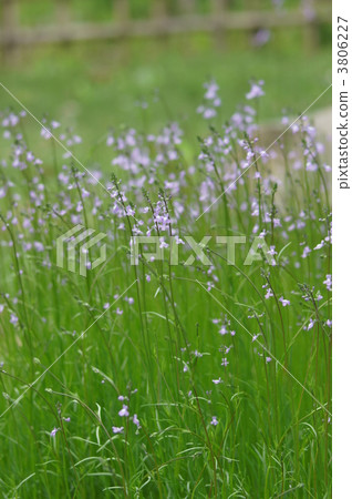 My name is Matsuba Hideir Matsubakuran. My name is Matsuba Hideir Matsubakuran. 3806227