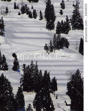 白雪皚皚 雪景 風景 3809850