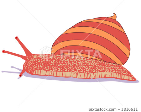 snail cartoon isolated on white snail cartoon isolated on white 3810611