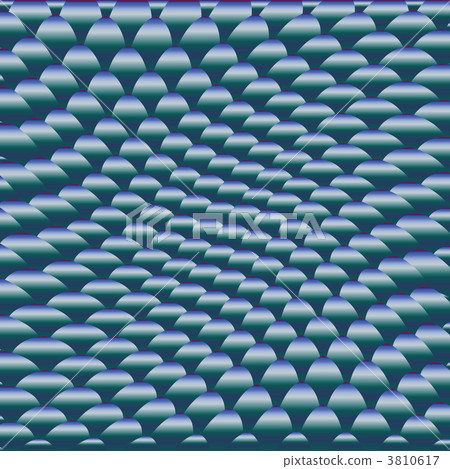 snake skin snake skin 3810617