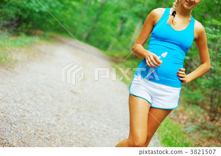 Forested Road Runner 3821507