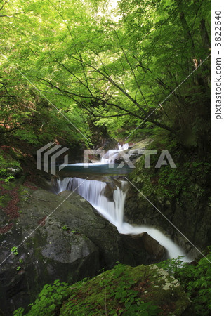 Nishizawa Valley · Mie Falls Nishizawa Valley · Mie Falls 3822640