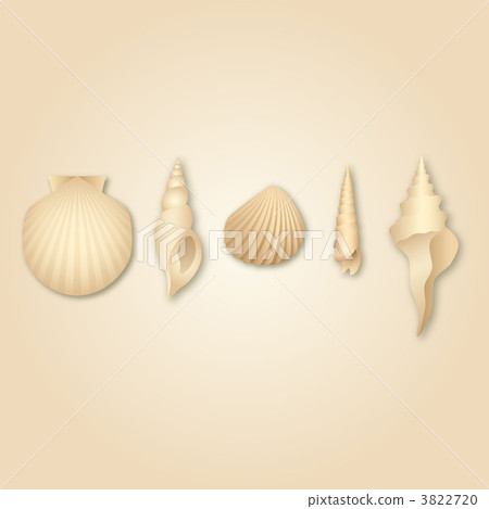 shell, backdrop, backdrops 3822720