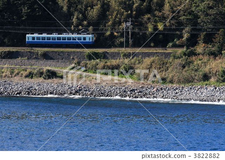 伊豆夏普系列100 伊豆夏普系列100 3822882