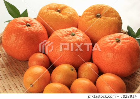 Citrus fruit Citrus fruit 3822934