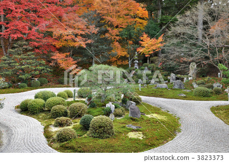 dry landscape garden, manshu-in temple, manshu-in temple gate 3823373