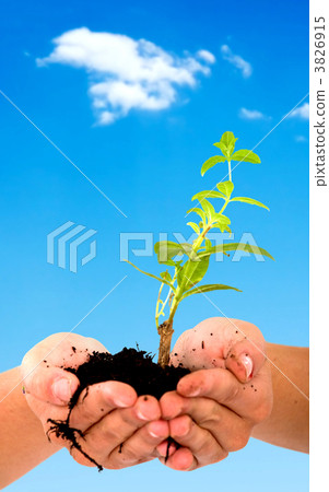 hands of protection 3826915