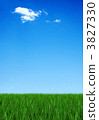 Grass and sky 3827330