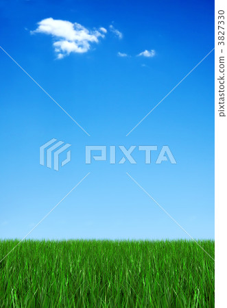 Grass and sky Grass and sky 3827330