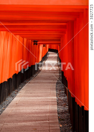 Torii 3827725