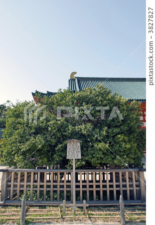 Heian Jingu shrine right nearby 3827827