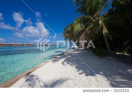 The sea of Maldives 3828103