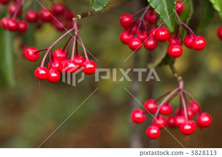 A million A million 3828113