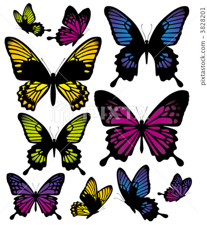 蝴蝶 蝴蝶 3828201