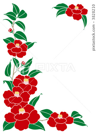 山茶花框架 3828210