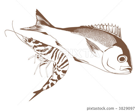 Fish and shrimp 3829097