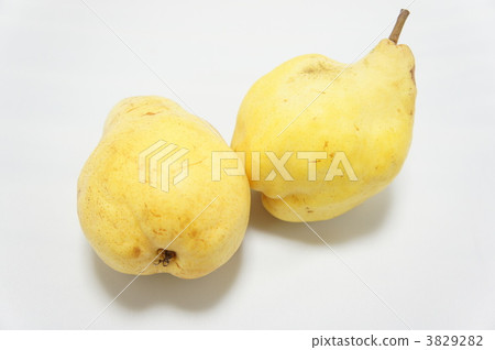 Pear 3829282