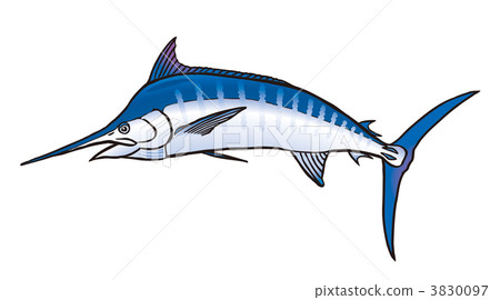 黑苔蘚 黑苔蘚 3830097