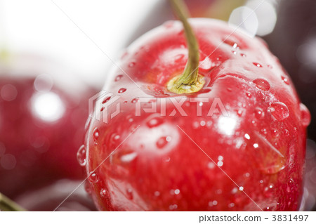 Cherries Cherries 3831497