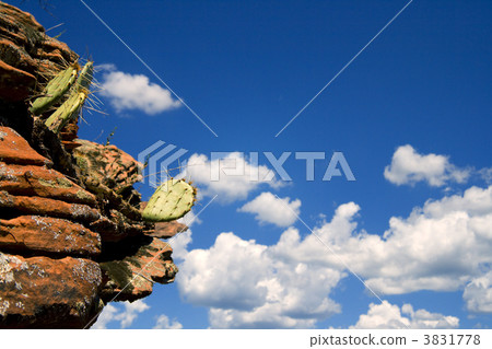 Living on the edge Living on the edge 3831778