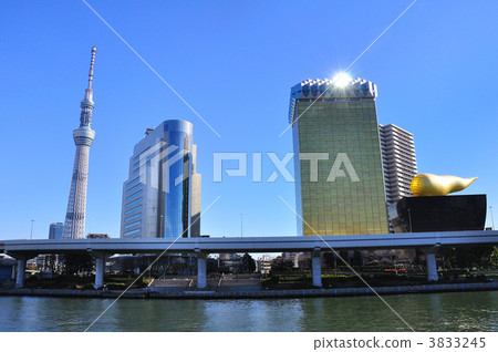 Sky tree  3833245