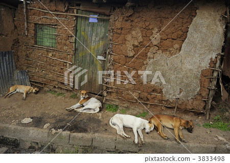 Kenya Kibelaslam Kenya Kibelaslam 3833498