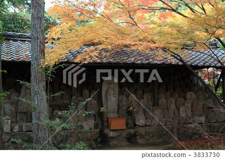 Lotus Temple in autumn 3833730