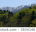 鳥取大仙（春天）的風景 3834146