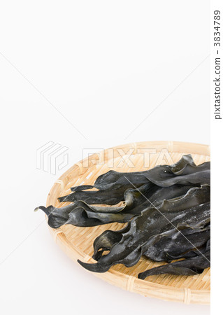 Kakura海帶 3834789