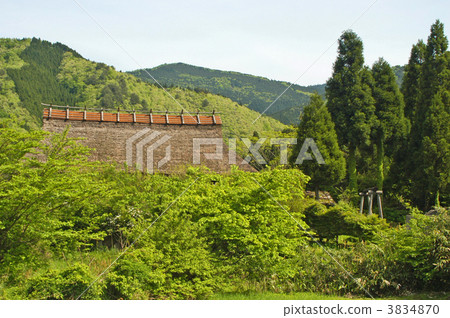 assorted trees, thatched roof, straw-thatched roof 3834870