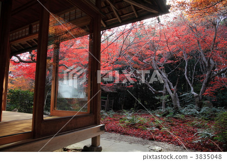 Fall of Kyoto Sagano Midari Fall of Kyoto Sagano Midari 3835048