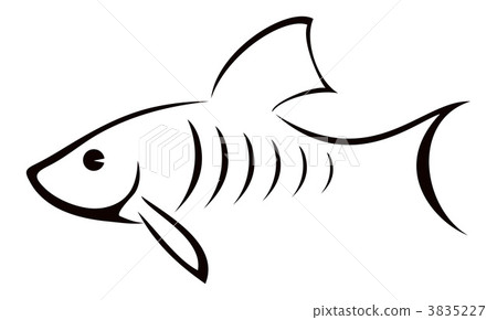 鯰魚 鯰魚 3835227