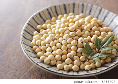 白色豆 白色大豆 黃豆 3835292