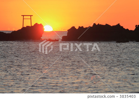 Asahi of the river coast 3835403