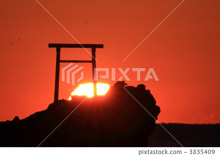 Asahi of the river coast 3835409