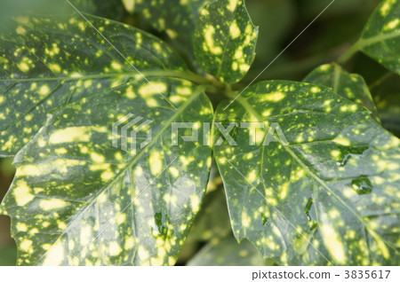 drop, drip, dew drop 3835617