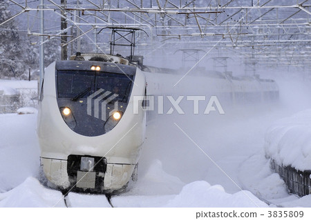雷鳥穿過雪地 3835809