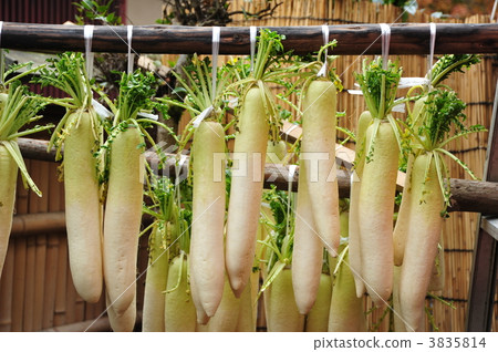 幹蘿蔔 幹蘿蔔 3835814