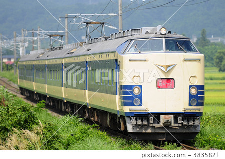 583系列襯墊 583系列襯墊 3835821