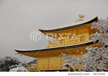 金閣寺在冬天 3835992