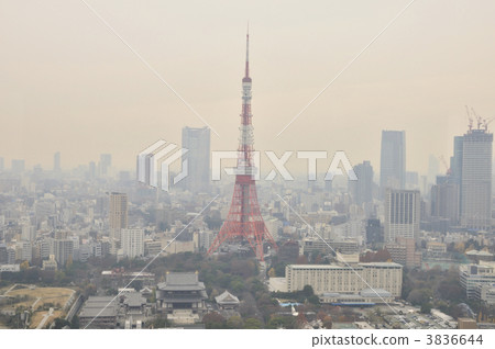 Around Tokyo Tower 3836644