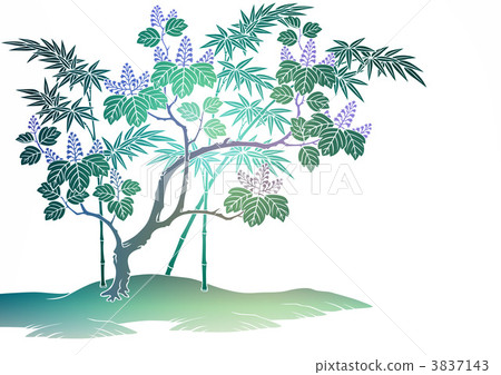 japanese pattern, sasleaf, bamboo grass 3837143