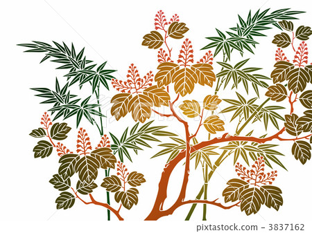 japanese pattern, sasleaf, bamboo grass 3837162